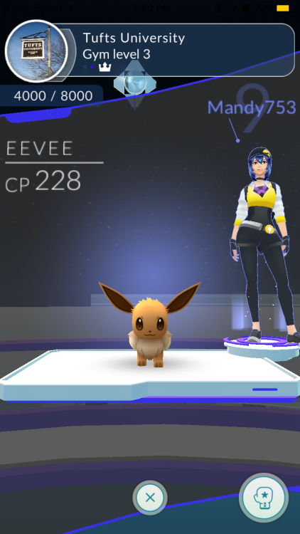 eevee's ready to fight